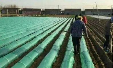 现代农业设施与农业用塑料薄膜 果园中的地理知识与应用