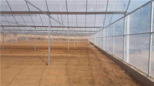 探索薄膜连栋温室材质 农业用塑料薄膜的关键选择与温室公司服务解析