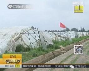 头七，为逝者默哀，愿被风卷走的生活早日回归