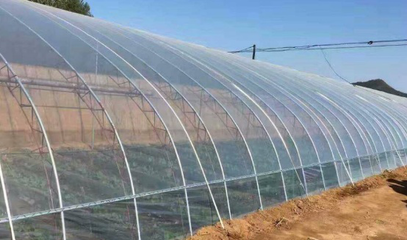 大棚种植中用好棚膜的技巧 更换与利用全攻略