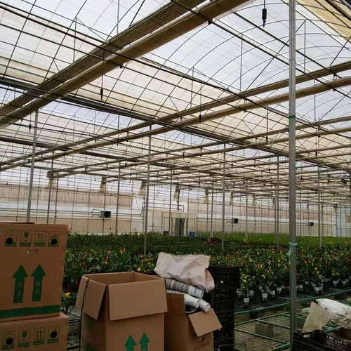 绥江鲜花钢架大棚 现代农业的钢架结构与薄膜选择