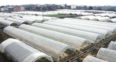 农业塑料污染的治理路径 塑料大棚与地膜的可持续解决方案