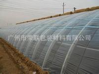 农用塑料薄膜——现代农业的高效助手