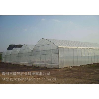 山西朔州蘑菇与杏鲍菇培育大棚工程 温室连拱设计与农业塑料薄膜应用