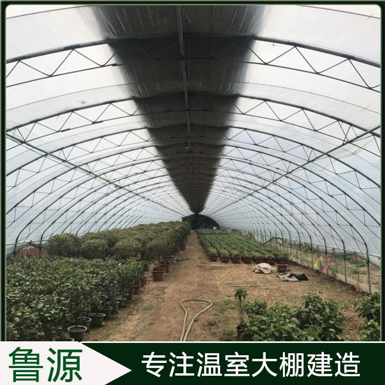 芳诚温室 珠海农业蔬菜水果大棚与拱形塑料薄膜棚建设指南