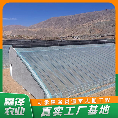 鑫泽农业用塑料薄膜 科技赋能现代农业的绿色革新